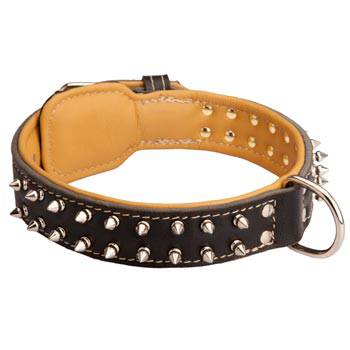 American Bulldog Collar Leather Spiked Padded