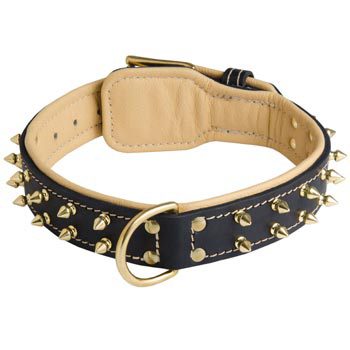 Leather American Bulldog Collar Spiked Padded with Nappa Leather Adjustable 