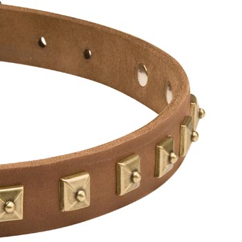 Leather Dog Collar for American Bulldog with Studs