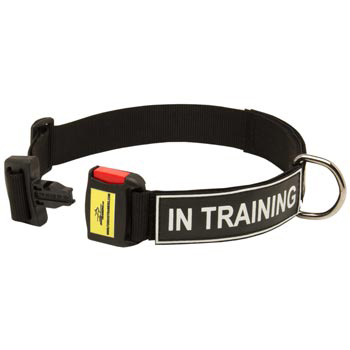 Nylon Dog Collar for American Bulldog Police Training