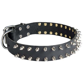 Spiked Leather Collar for American Bulldog