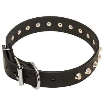 Training Walking Leather Dog Collar with Buckle for American Bulldog