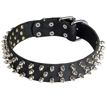 Leather American Bulldog Collar with Spikes