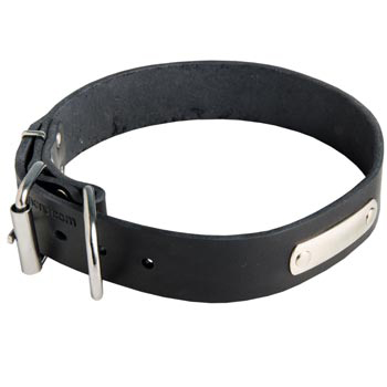 Leather American Bulldog Collar for Identification