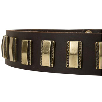 Leather Dog Collar with Adornment for American Bulldog
