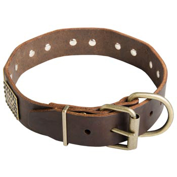 War-Style Leather Collar for American Bulldog