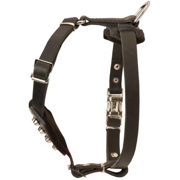 Leather American Bulldog Puppy Harness for Comfy Walking