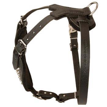 Custom Made Leather American Bulldog Harness