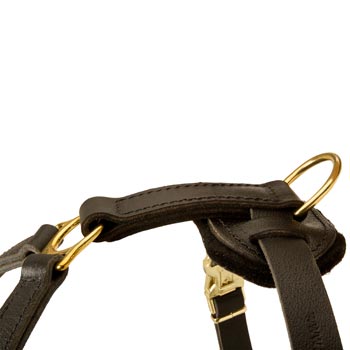Corrosion Resistant D-ring of American Bulldog Harness