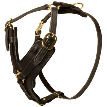Comfortable Y-Shaped Leather Harness for American Bulldog Attack  Training