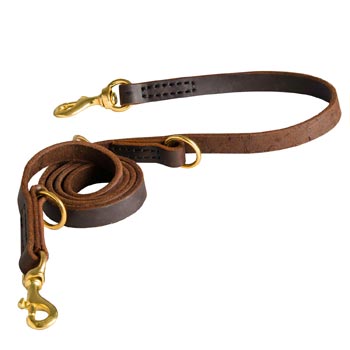 Strong Leather Leash for American Bulldog Successful Training