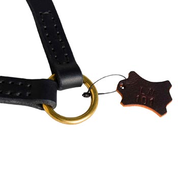 American Bulldog Leather Coupler with Rust-proof O-ring