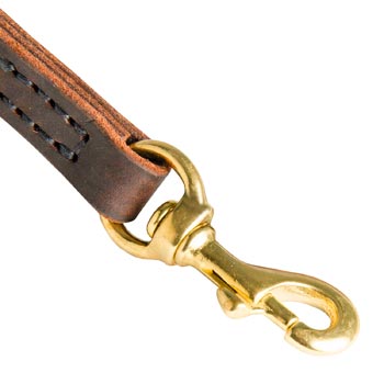 American Bulldog Leather Leash with Brass Hardware