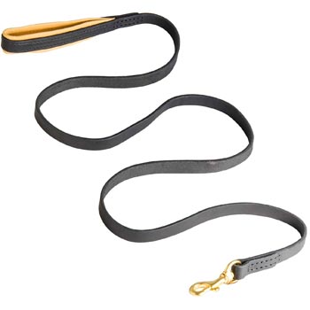 Padded Leather American Bulldog Leash for Everyday Walking
