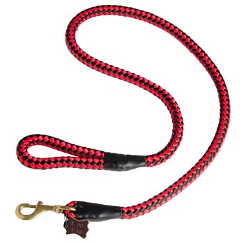 American Bulldog Red Nylon Leash for Walking and Training
