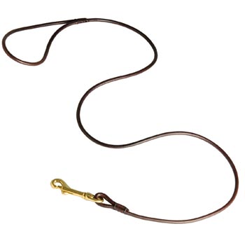 Leather Canine Leash for American Bulldog Presentation at Dog Shows