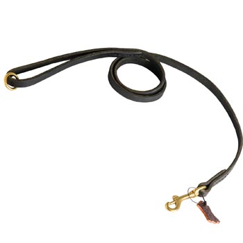 Strong Leather American Bulldog Leash for Popular Dog Activities