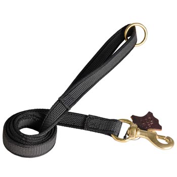 Nylon Leash for American Bulldog Training will Help to Achieve Great Results