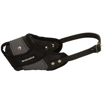 American Bulldog Muzzle Leather and Nylon for Walking and Training