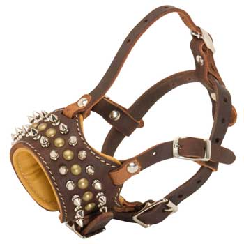American Bulldog Muzzle Leather Browne with Spikes and Studs