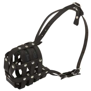 Leather Cage American Bulldog Muzzle Padded