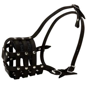 American Bulldog Muzzle Leather Cage for Daily Walking