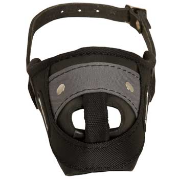 Nylon and Leather American Bulldog Muzzle with Steel Bar for Protection Training