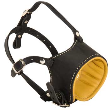 Adjustable American Bulldog Muzzle Padded with Soft Nappa Leather for Anti-Barking Training
