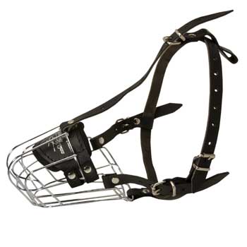 Wire Cage Muzzle for Training American Bulldog Working Dogs
