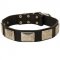 Leather American Bulldog Collar with Large Nickel Plates