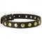 Leather American Bulldog Collar with Brass Circles for Fashionable Walking