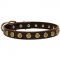 Leather American Bulldog Collar with Brass Dotted Circles for Fashion Walking