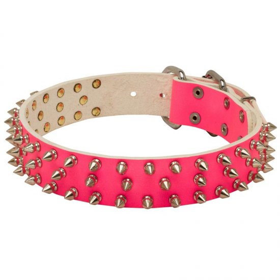 spiked pink collar