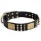 Spiked Leather American Bulldog Collar with Plates and Cones