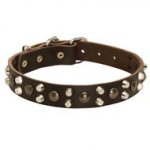 Leather American Bulldog Collar With Studs and Pyramids