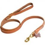 Walking and Training Leather American Bulldog Leash with Comfy Handle
