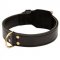Training 2 Ply Leather American Bulldog Collar