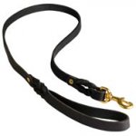 Walking Training Leather American Bulldog Leash Braided