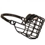 Frost-Resistant Wire Cage American Bulldog Muzzle with One Adjustable Strap