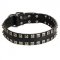 New Leather American Bulldog Collar - Fashion Exclusive Design - "Caterpillar"