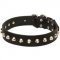 Gorgeous Wide Leather American Bulldog Collar - Fashion Exclusive Design
