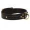 Incredible Design American Bulldog Braided Leather Collar