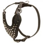 Adjustable Leather American Bulldog Harness Studded for Fashion Walking