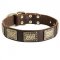 Leather American Bulldog Collar with Massive Brass Plates