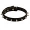American Bulldog Leather Collar Spiked 3/4 Inch