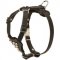 Studded Leather American Bulldog Puppy Harness