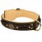 American Bulldog Leather Collar Braided