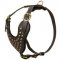 Adjustable Studded Leather American Bulldog Harness for Fashion Walking