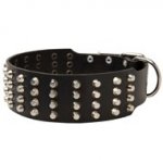 Extra Wide 4 Rows Studded Leather American Bulldog Collar