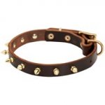Walking Designer Leather American Bulldog Collar with Brass Spikes